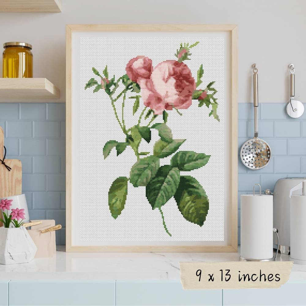 Rosa Centifolia Foliacea Cross Stitch Pattern