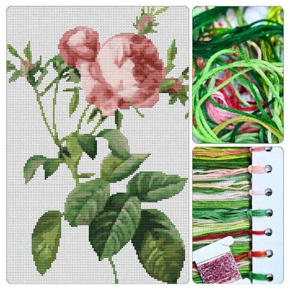 Rosa Centifolia Foliacea Cross Stitch Kit