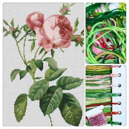 Rosa Centifolia Foliacea Cross Stitch Kit