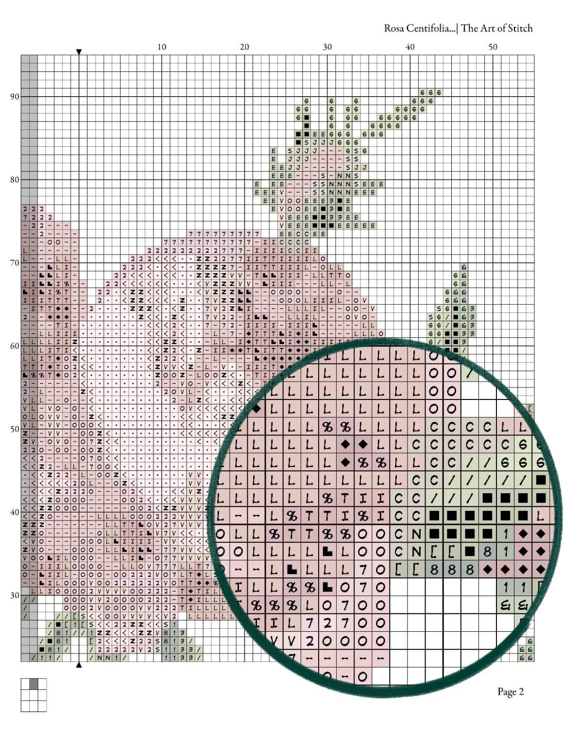 Rosa Centifolia Foliacea Cross Stitch Pattern