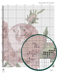 Rosa Centifolia Foliacea Cross Stitch Pattern