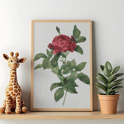 Rosa Gallica Pontiana Cross Stitch Kit