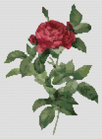 Rosa Gallica Pontiana Cross Stitch Pattern by Pierre - Joseph Redouté