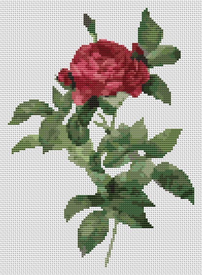 Rosa Gallica Pontiana Cross Stitch Kit | Pierre-Joseph Redouté