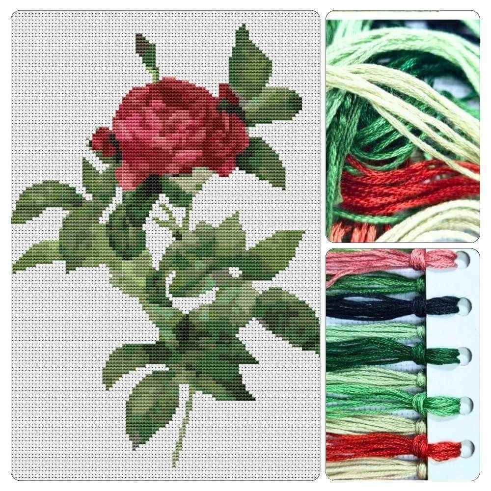 Rosa Gallica Pontiana Cross Stitch Kit