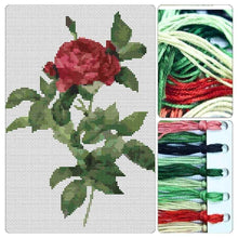 Rosa Gallica Pontiana Cross Stitch Kit - Premium Cross Stitch Kit - Pierre - Joseph Redouté
