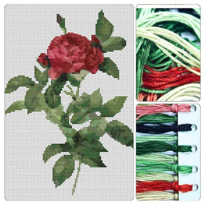 Rosa Gallica Pontiana Cross Stitch Kit