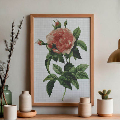 Rosa Gallica Regalis Cross Stitch Kit