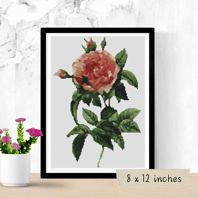Rosa Gallica Regalis Cross Stitch Pattern