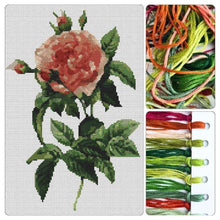 Rosa Gallica Regalis Cross Stitch Kit - Premium Cross Stitch Kit - Pierre - Joseph Redouté