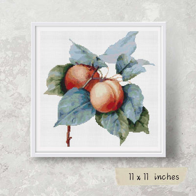 Apricots Cross Stitch Pattern