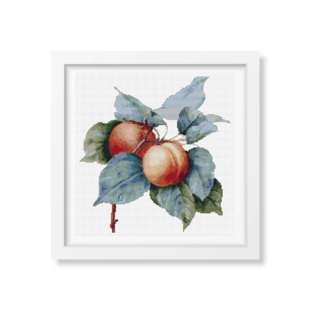 Apricots Cross Stitch Kit | Pierre-Joseph Redouté