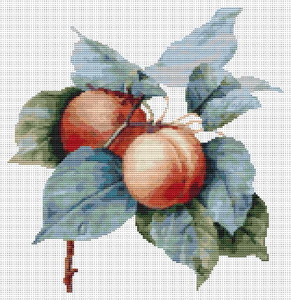 Apricots Cross Stitch Kit | Pierre-Joseph Redouté