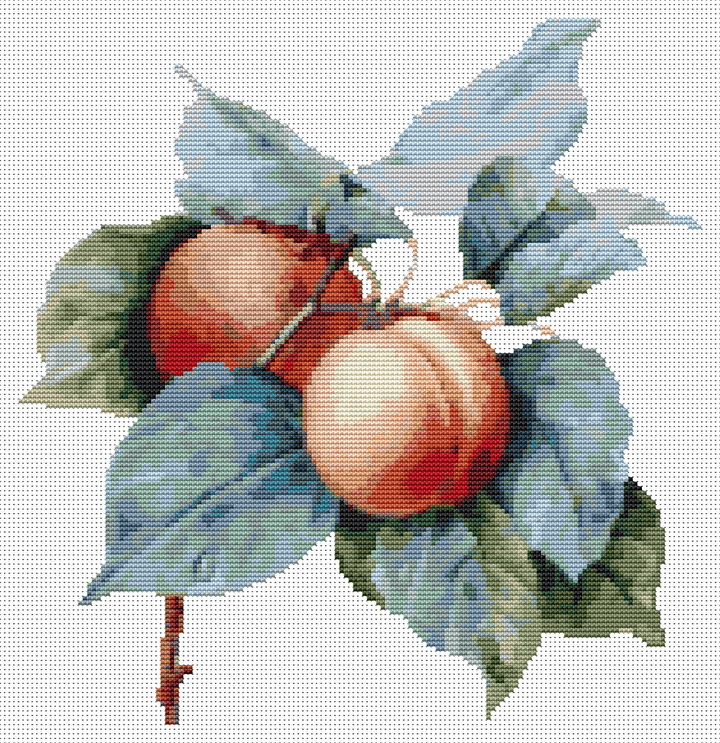 Apricots Cross Stitch Kit - Premium Cross Stitch Kit - Pierre - Joseph Redouté