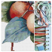 Apricots Cross Stitch Kit - Premium Cross Stitch Kit - Pierre - Joseph Redouté