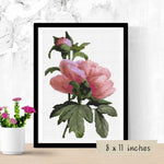 Flowers Cross Stitch Pattern by Pierre - Joseph Redouté