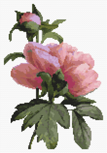 Flowers Cross Stitch Kit (REDOU07) | Pierre-Joseph Redouté