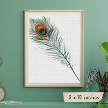 Peacock Feather Cross Stitch Kit | The Art of Stitch