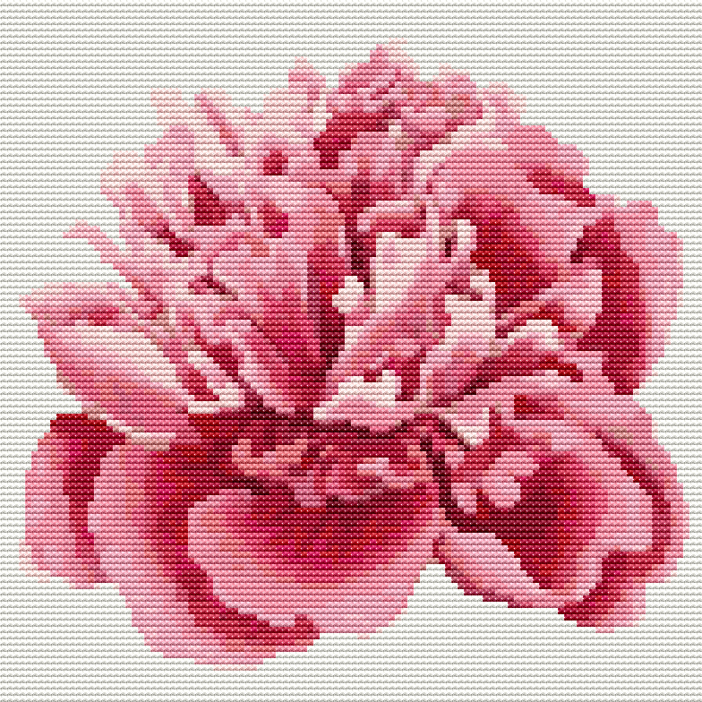 Peony Cross Stitch Pattern by The Art of Stitch
