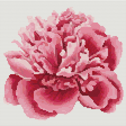 Peony Cross Stitch Pattern by The Art of Stitch