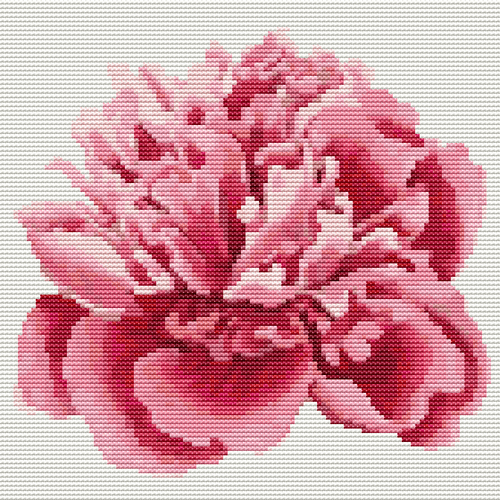 Peony Cross Stitch Pattern by The Art of Stitch