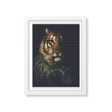 Tiger's Head Cross Stitch Kit | Abbott Handerson Thayer