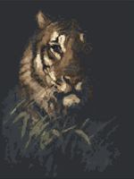 Tiger's Head Cross Stitch Pattern by Abbott Handerson Thayer