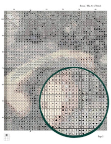 Boreas Cross Stitch Pattern
