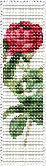 Rosa Gallica Pontiana Bookmark Cross Stitch Kit