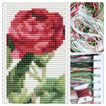 Rosa Gallica Pontiana Bookmark Cross Stitch Kit