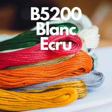 DMC Thread Art 117 (B5200, Blanc, Ecru) | The Art of Stitch