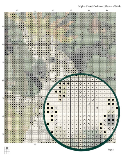 Sulphur Crested Cockatoos Cross Stitch Kit