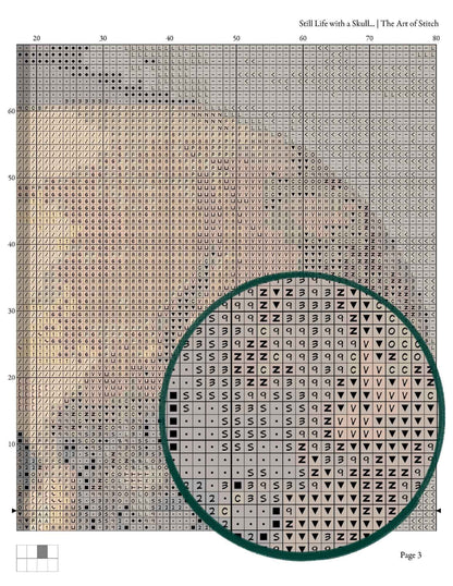 Still Life with a Skull and a Writing Quill Cross Stitch Kit