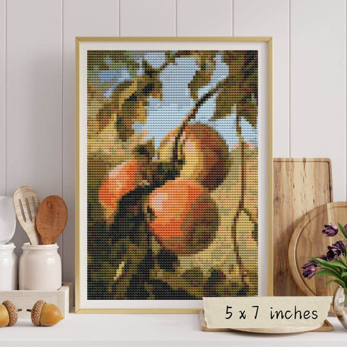 Apples Mini Cross Stitch Kit