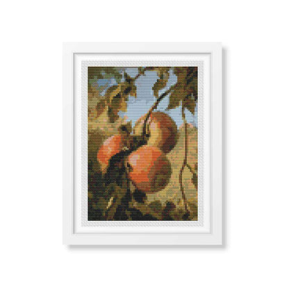 Apples Mini Counted Cross Stitch Kit | Thomas Worthington Wittredge