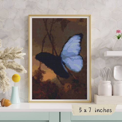 Blue Morpho Butterfly Mini Cross Stitch Kit