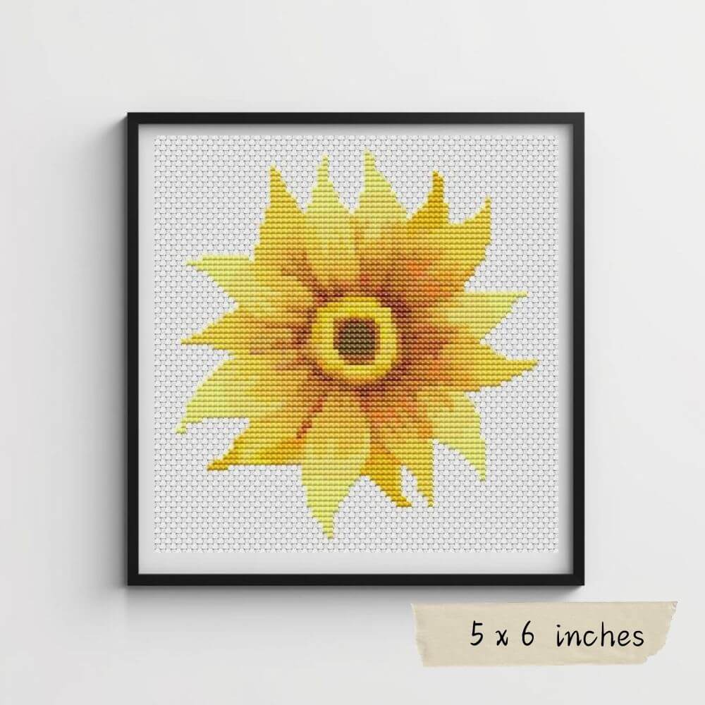 ★みらまる★499Robe de Fleurs (LF4613) S Amazon.com : 40 Jumbo Crocus Mixture - Crocus vernus & flavus by