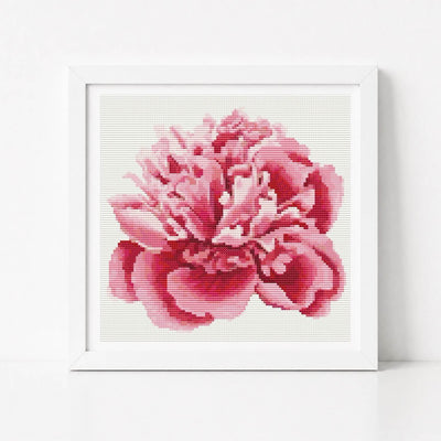 Peony Cross Stitch Kit